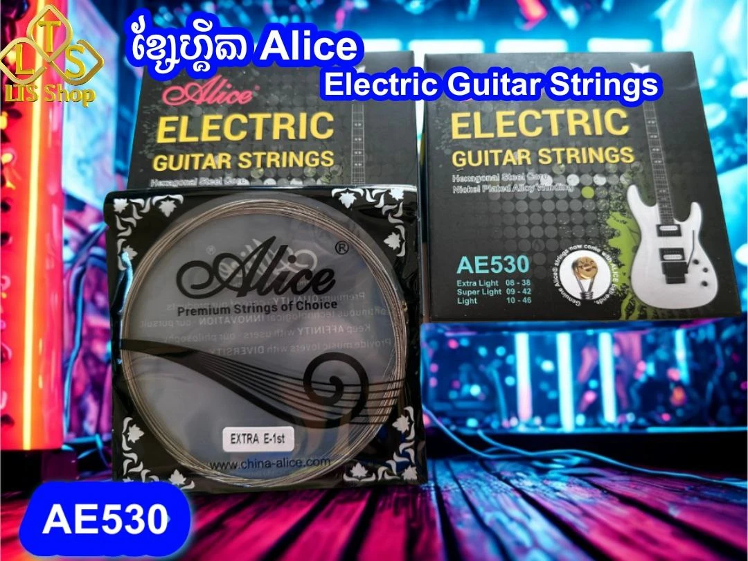 ខ្សែហ្គីតា Alice Electric Guitar Strings AE530