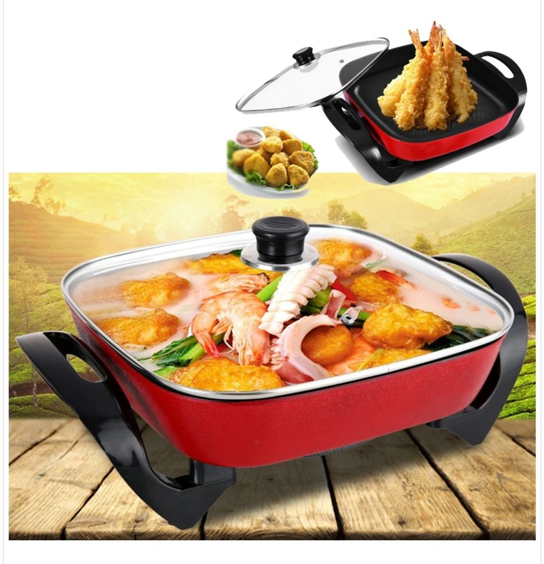 Multifunction Electric Hot Pot D11