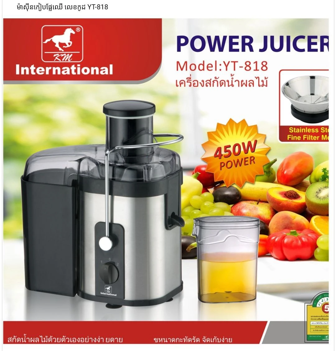Power Juicer YT-818